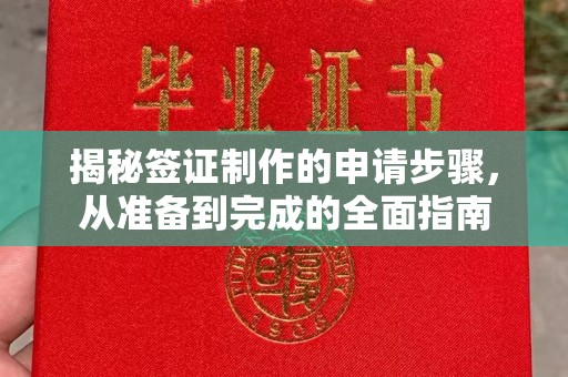 清流揭秘签证制作的申请步骤，从准备到完成的全面指南